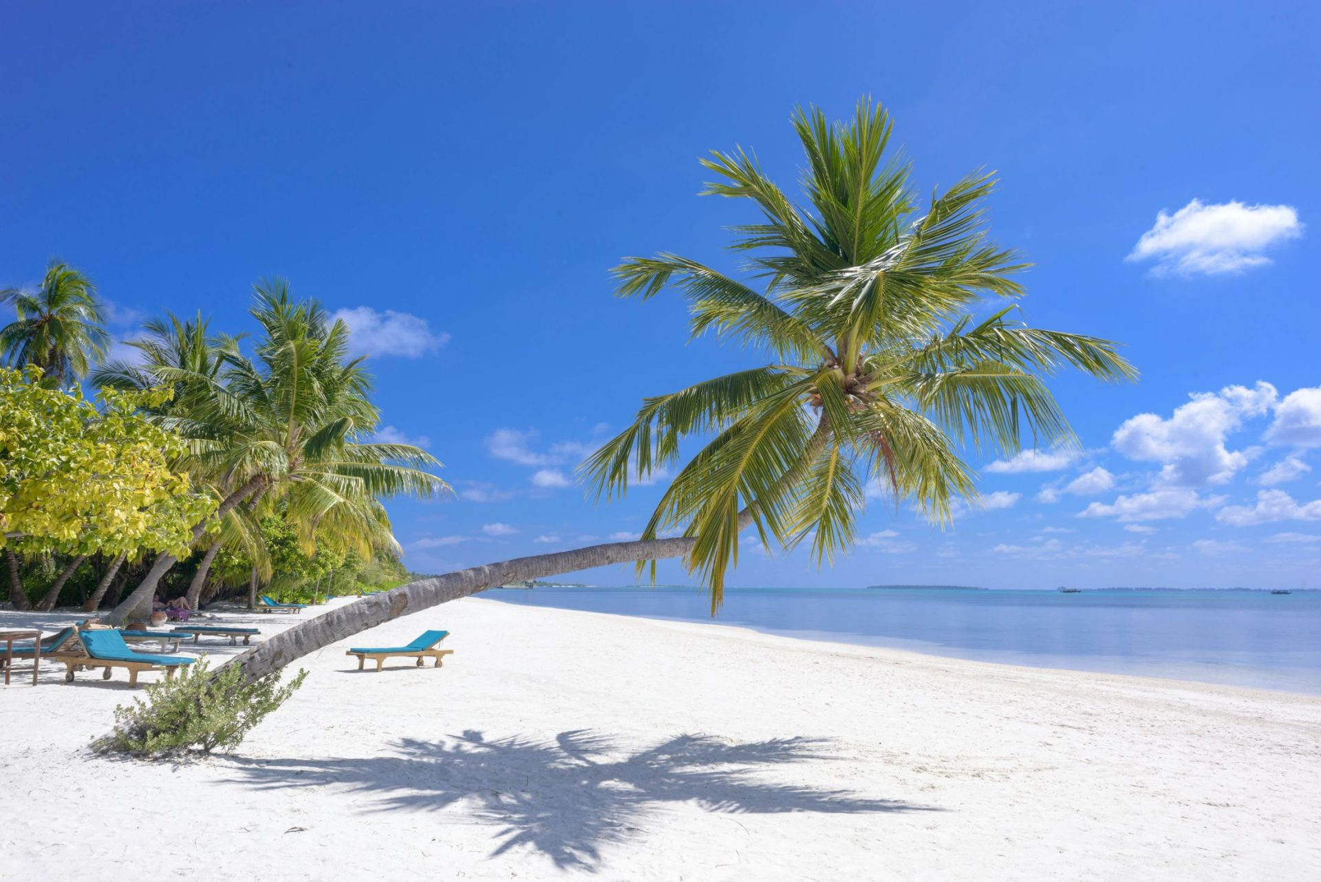 Escape to Luxury: Diani Beach Awaits